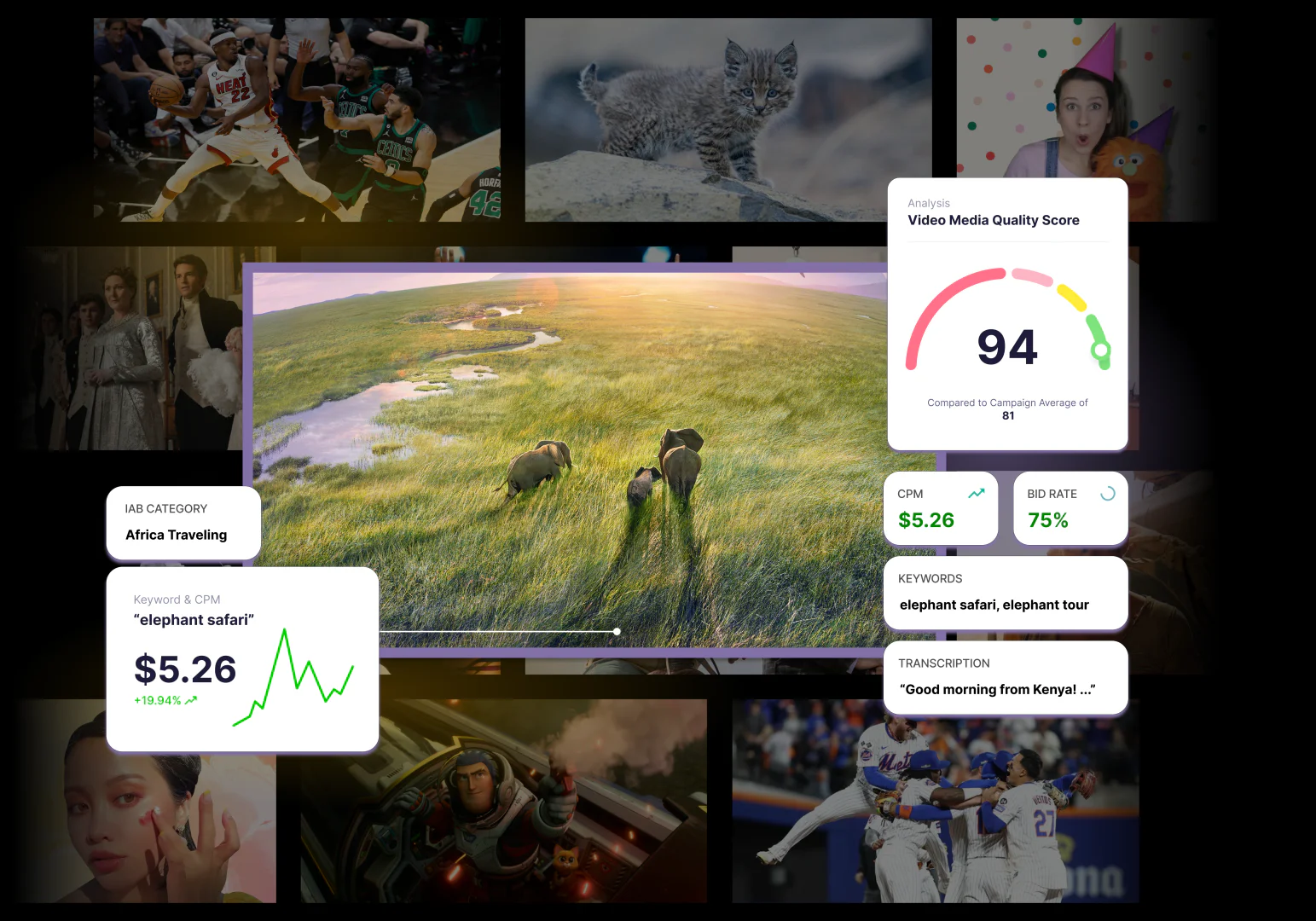 Qortexai product overview showing video intelligence features