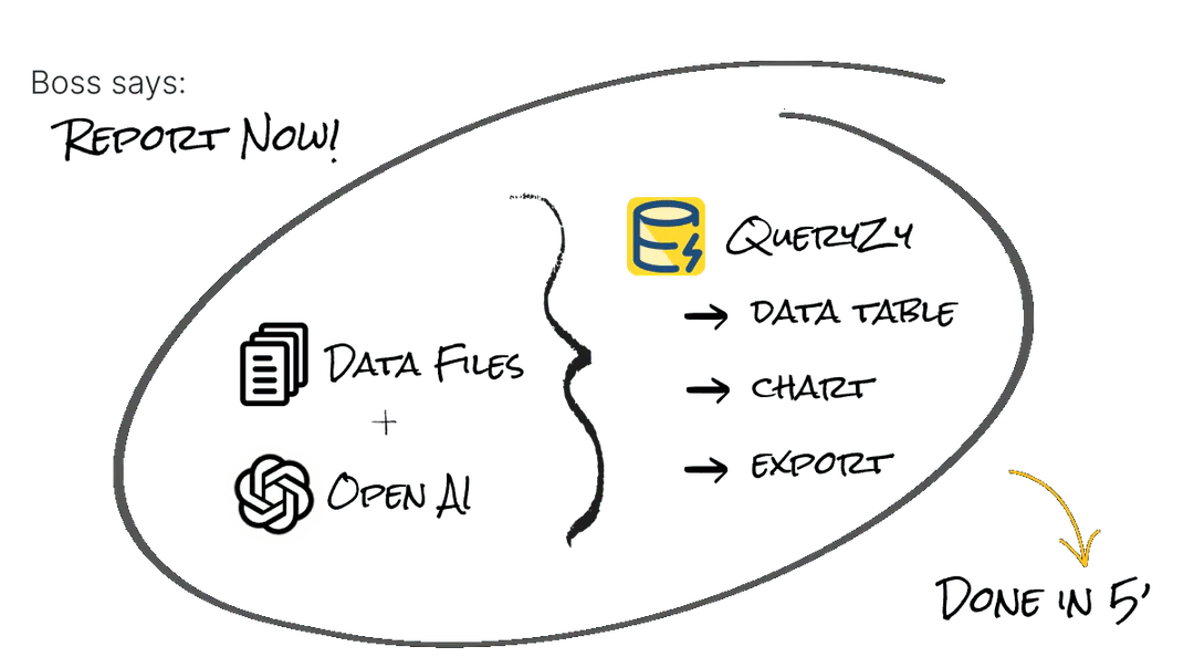 Queryzy product demo showcasing data interaction