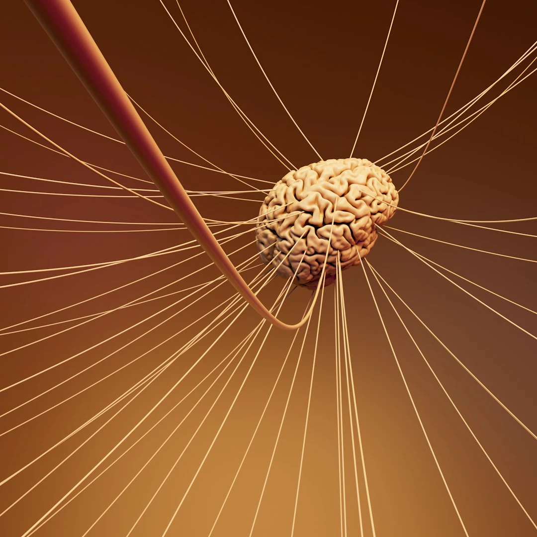 Rapidtextai digital network connection