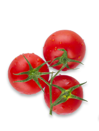 Receitasai recipe suggestion demonstration