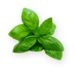 Receitasai user scenario image