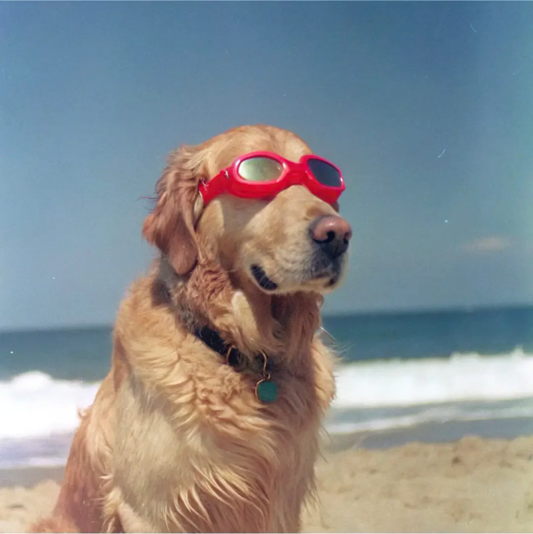 RecraftAI main features demonstration