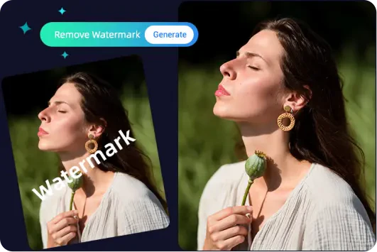 Remove watermark from photo using Removewatermarks