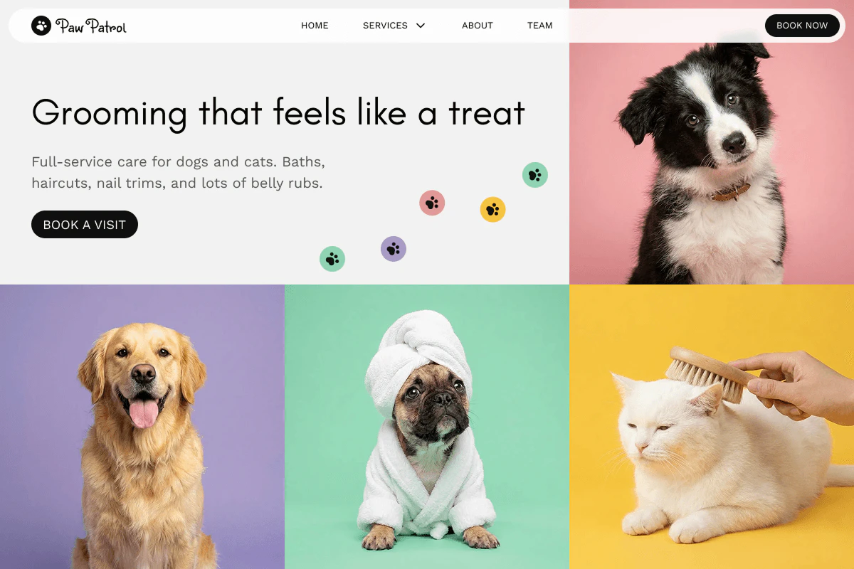 Repaint AI-generated pet grooming website example