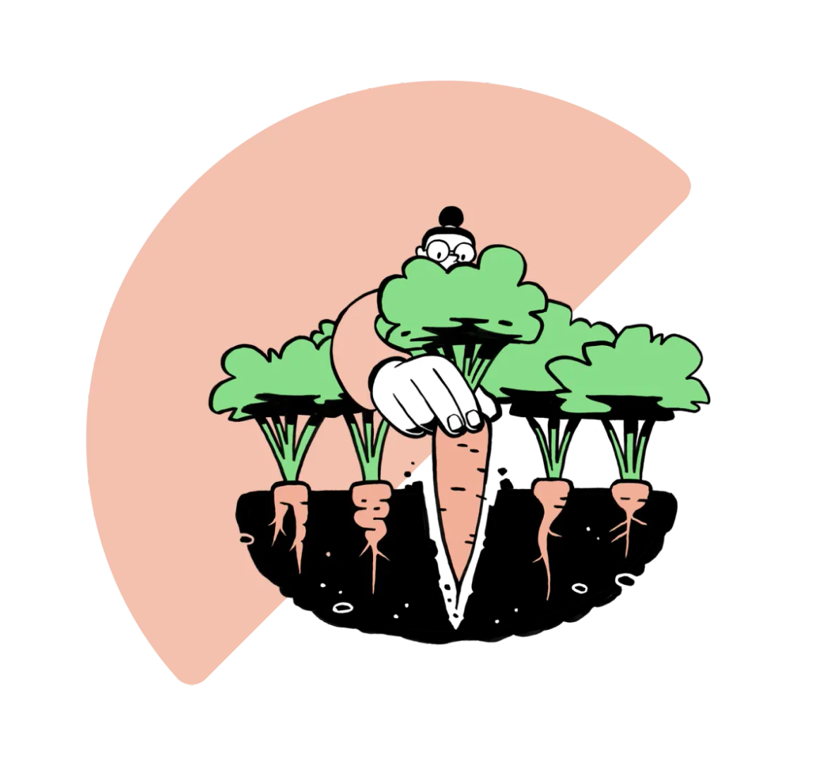 ResearchRabbit citation mapping feature