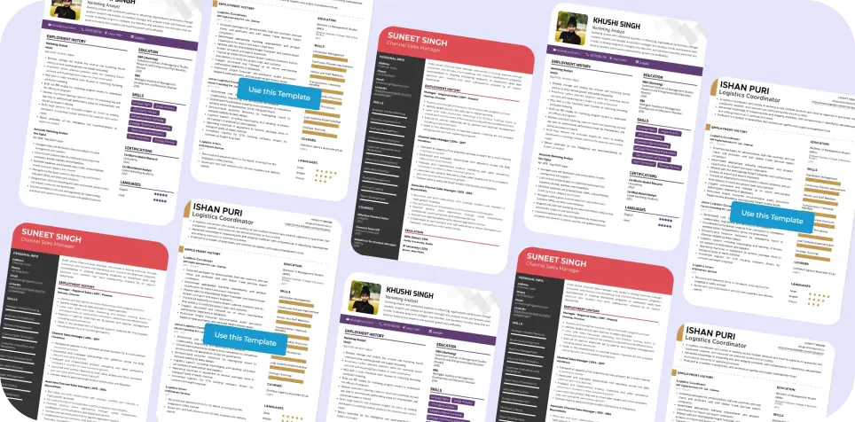 Examples of resumes created using Resumod