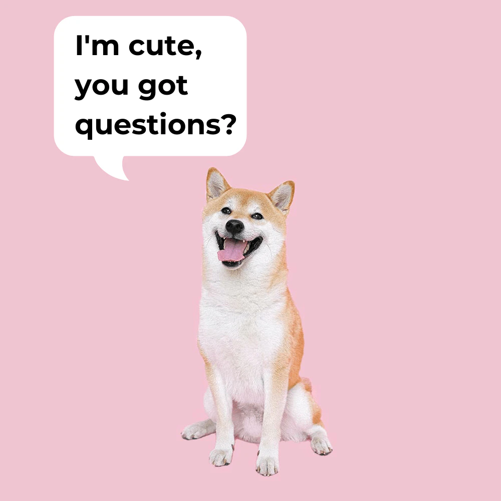 RikiGPT FAQs for user assistance