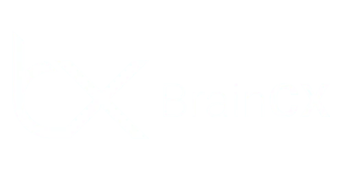 Roarkai target audience example