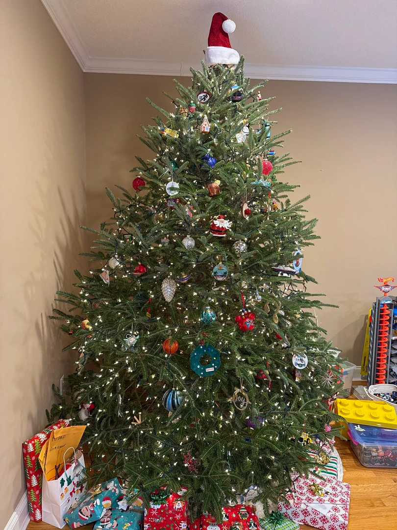 Roastmytree feature demonstration with tree submissions