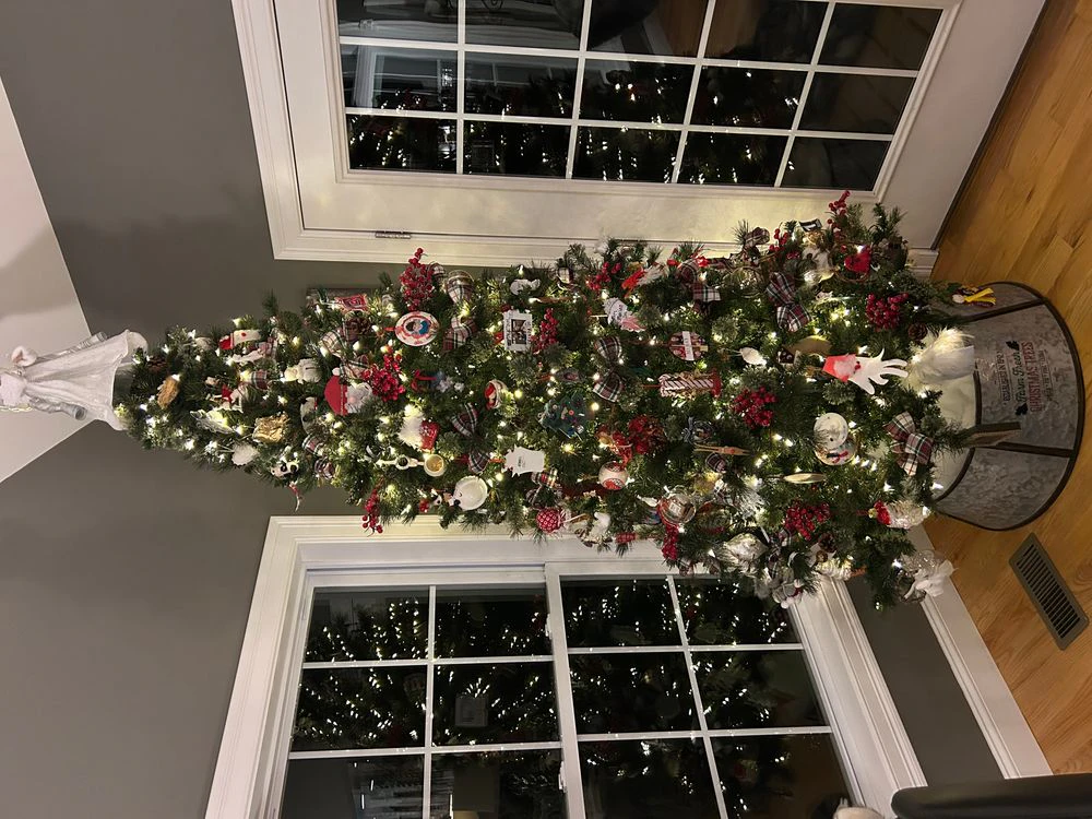 Roastmytree use case example with users sharing trees