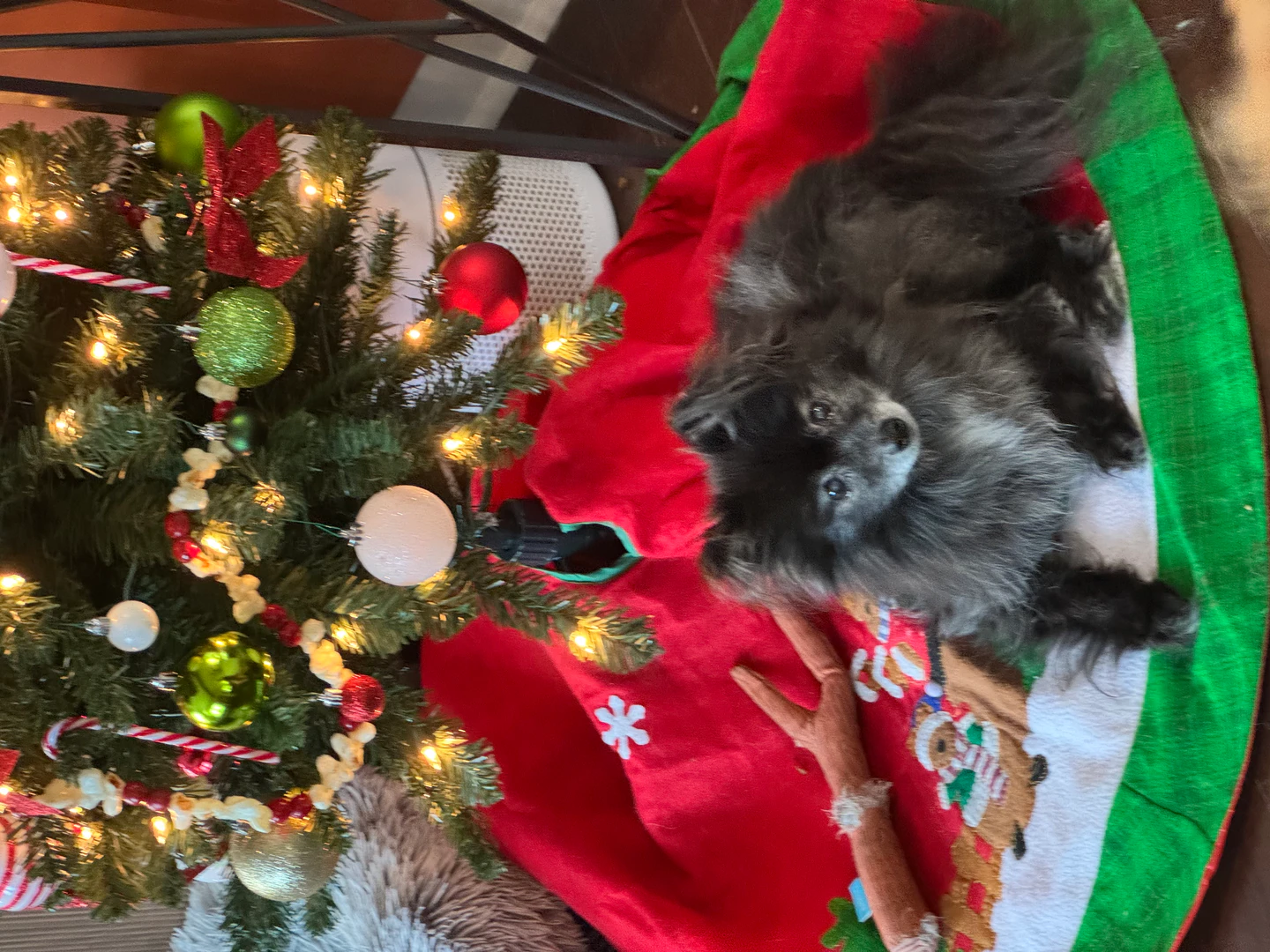 Roastmytree product interface showing a Christmas tree