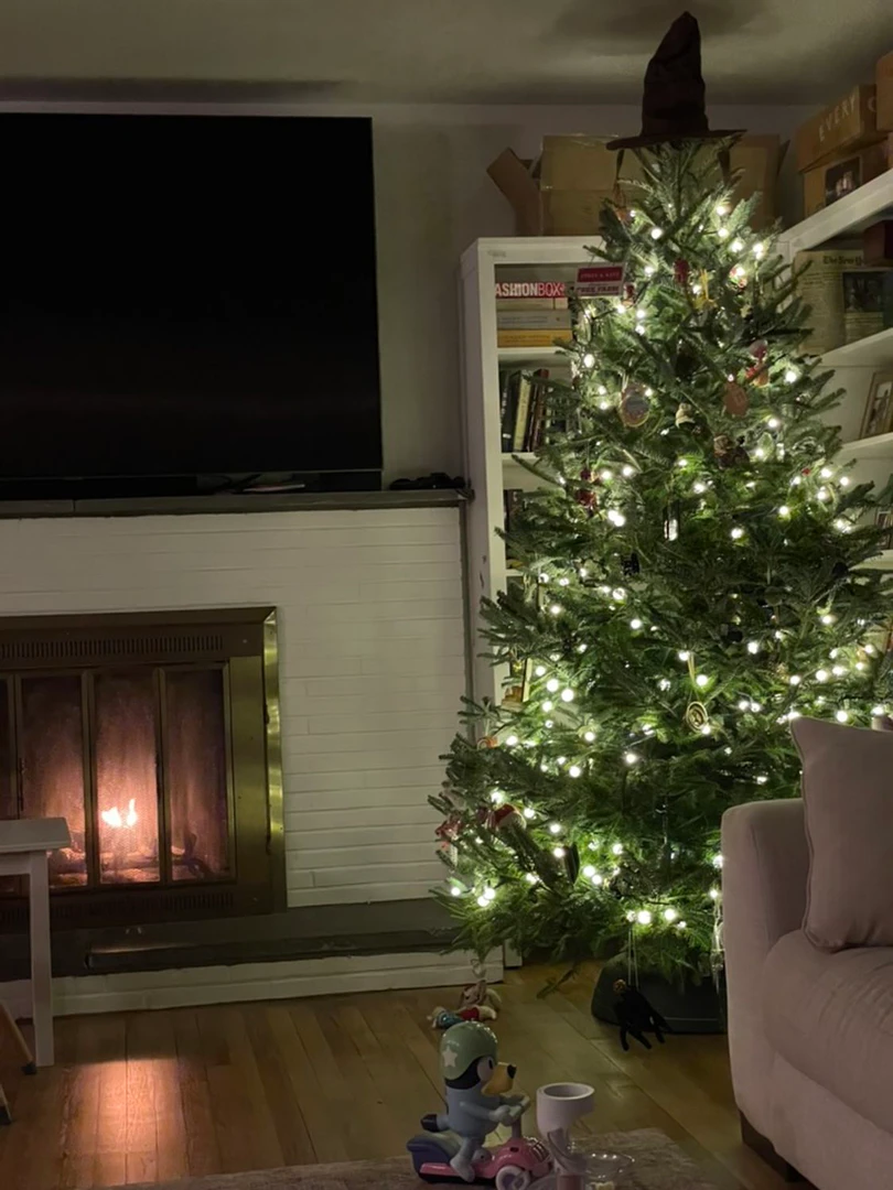 Roastmytree displaying a sad Christmas tree