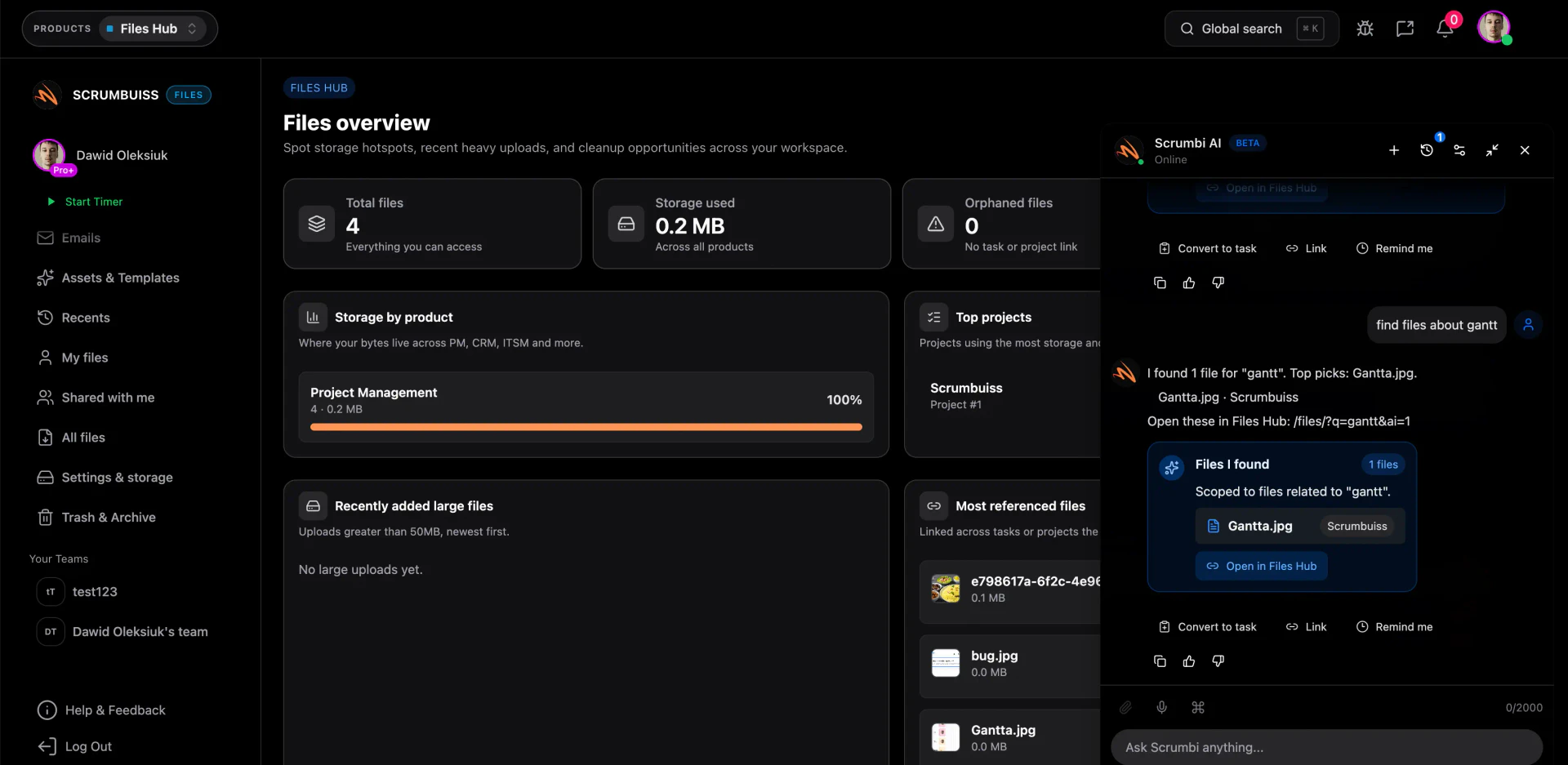 Scrumbuiss file management feature