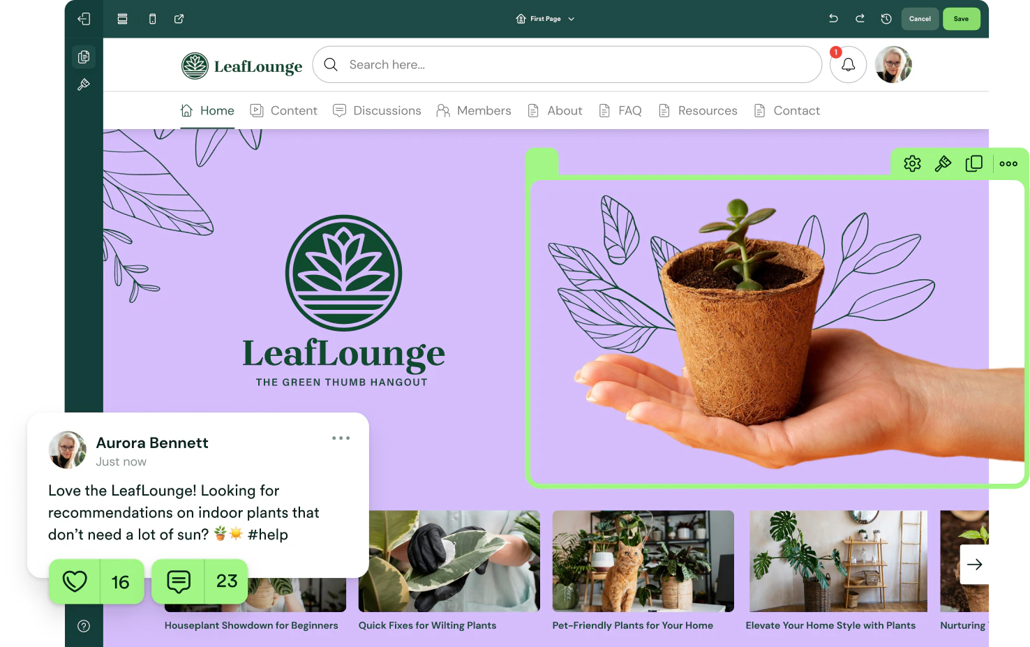 Searchie product overview and features