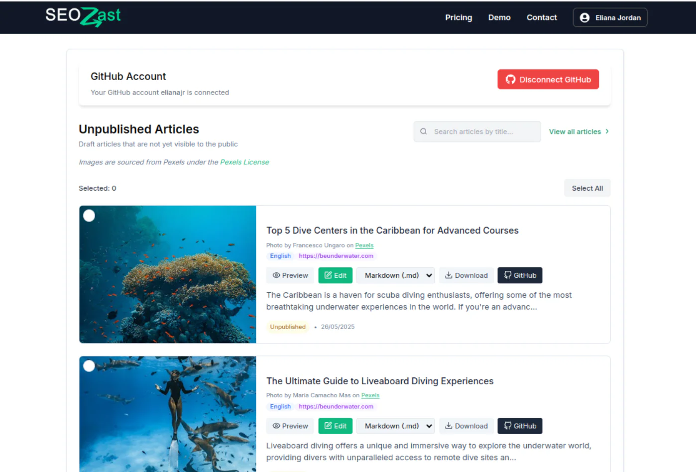 Seozast AI optimization interface screenshot