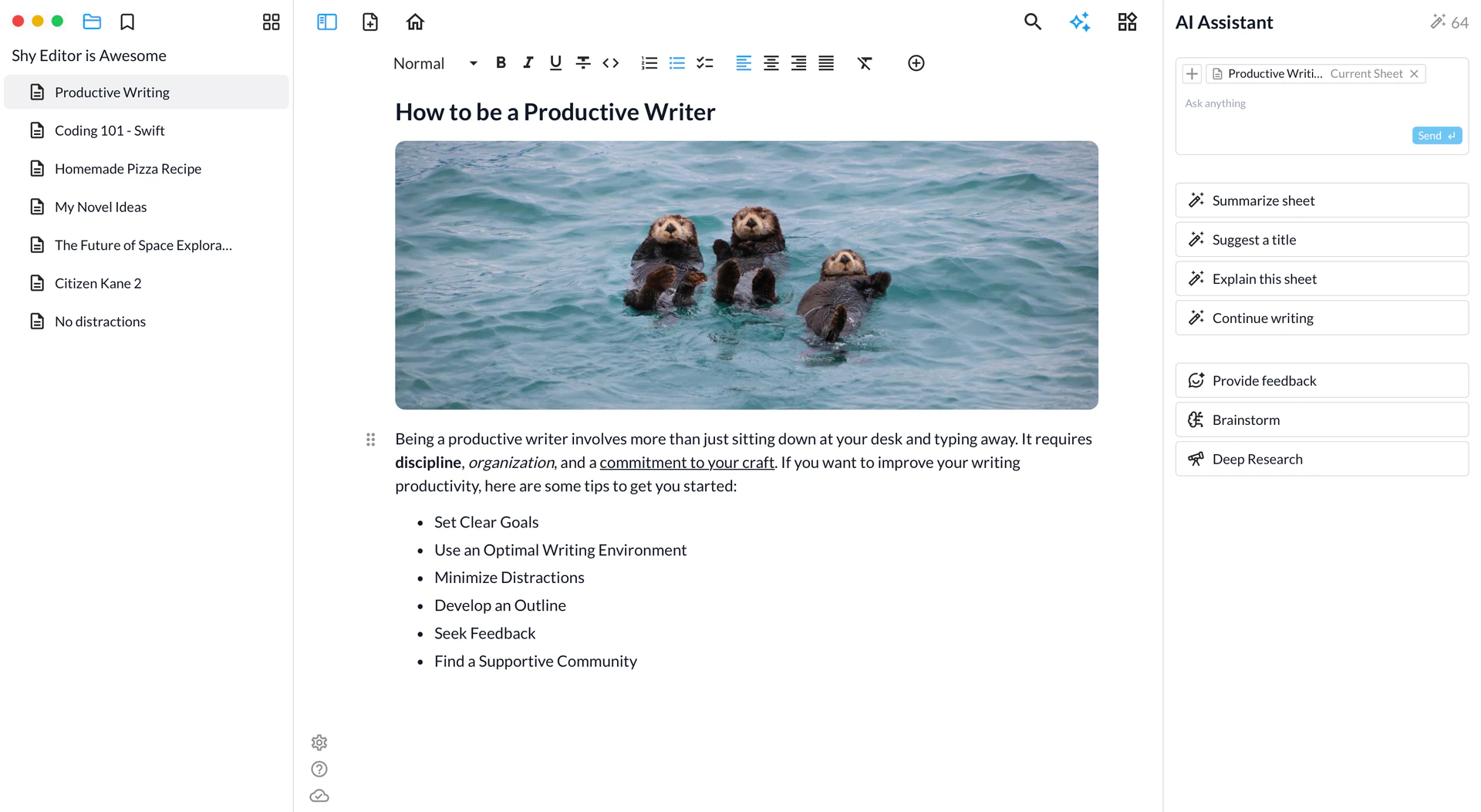 Shyeditor product interface overview