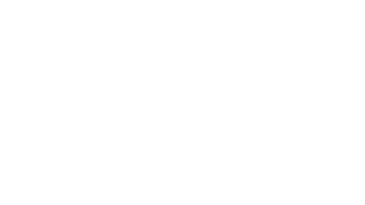 Snapvidai features demonstration