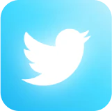 Snapvidai use case for Twitter videos