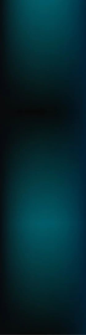 Snapvidai product overview interface