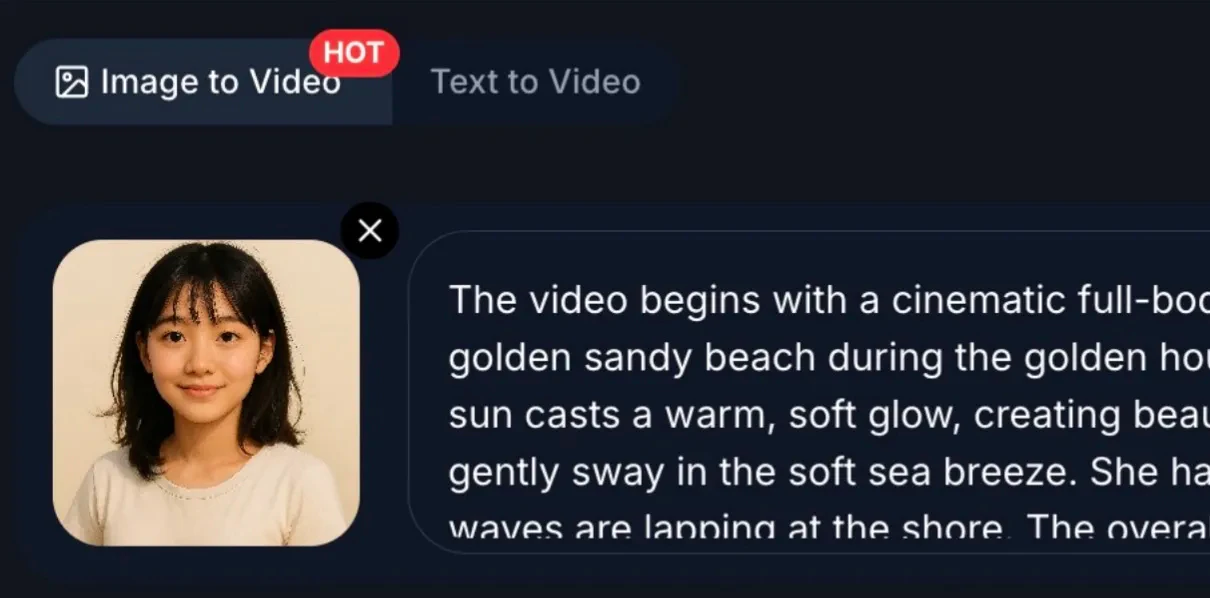 Sora2-AI customize style settings screenshot