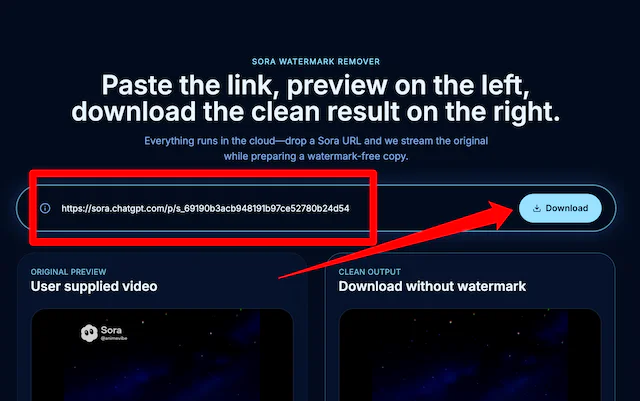 Screenshot of pasting link into Sorawatermarkremoverai