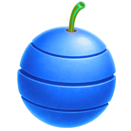 Spaceberry product interface overview