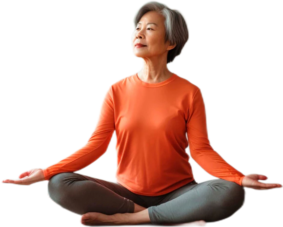 User scenario with Sparkle 5