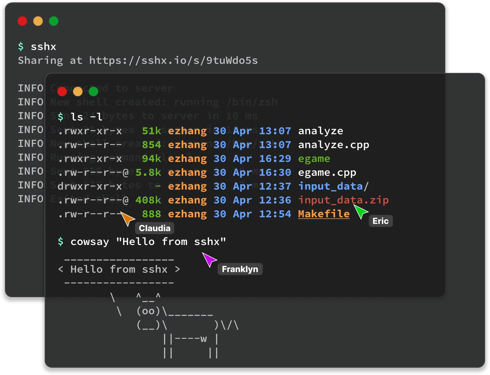 sshx interface with multiple cursors and terminals
