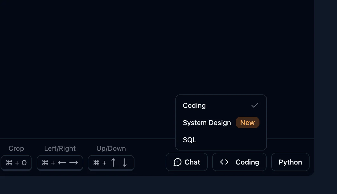 Stealthinterviewai advanced customization example