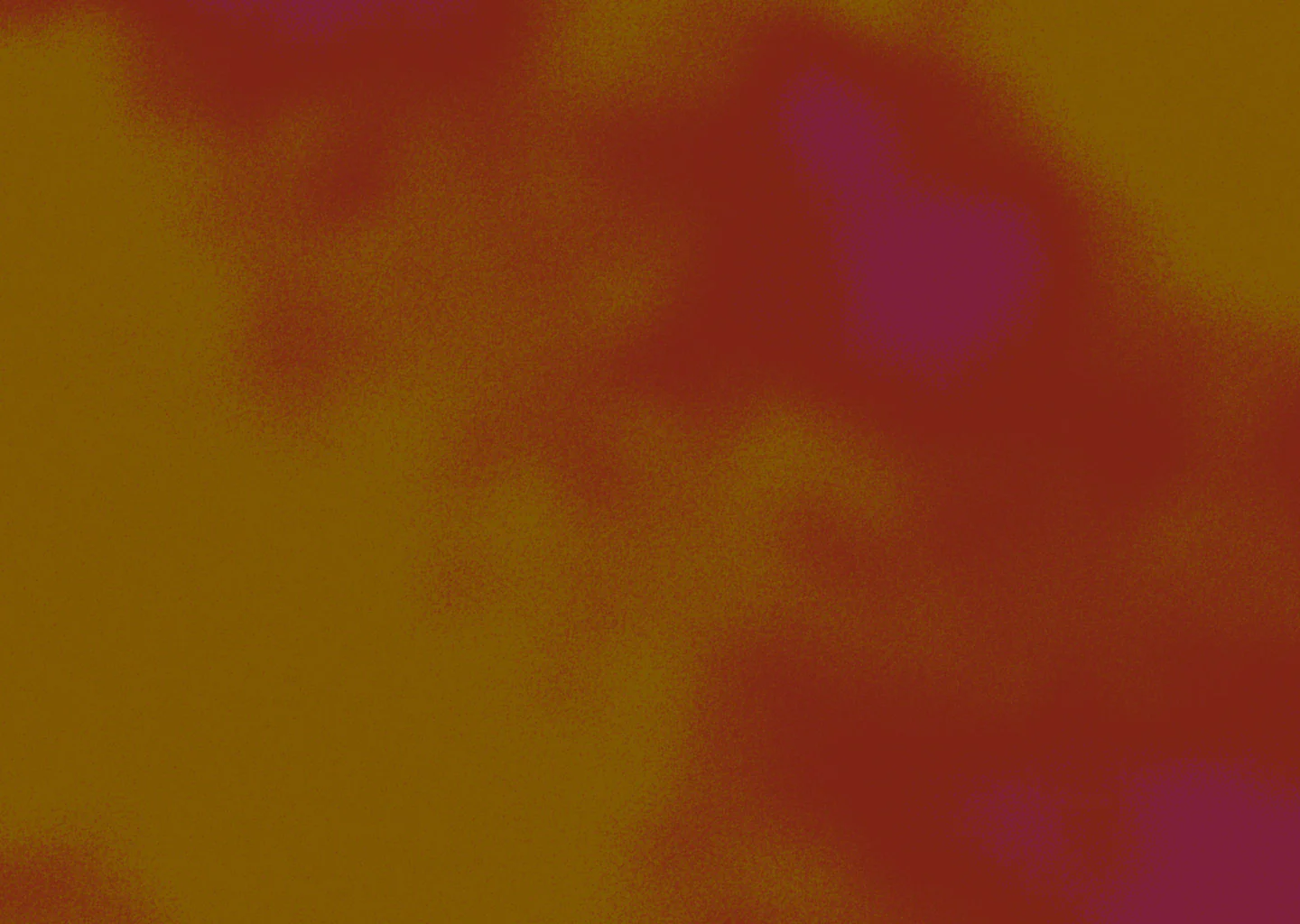 Suno AI music app interface