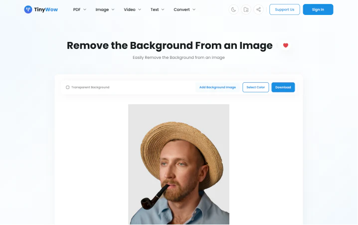TinyWow background remover feature demonstration