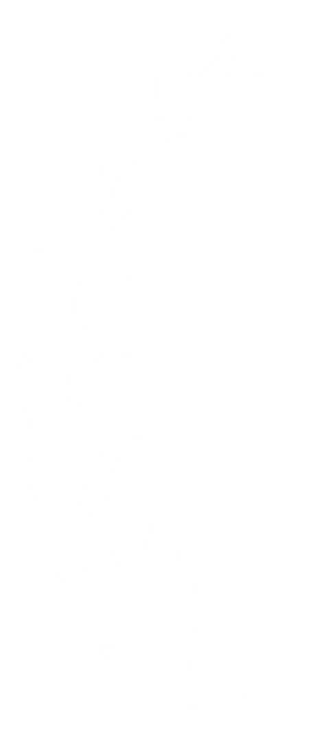 Tweetai user scenario image