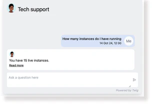 Twig use case example in customer support