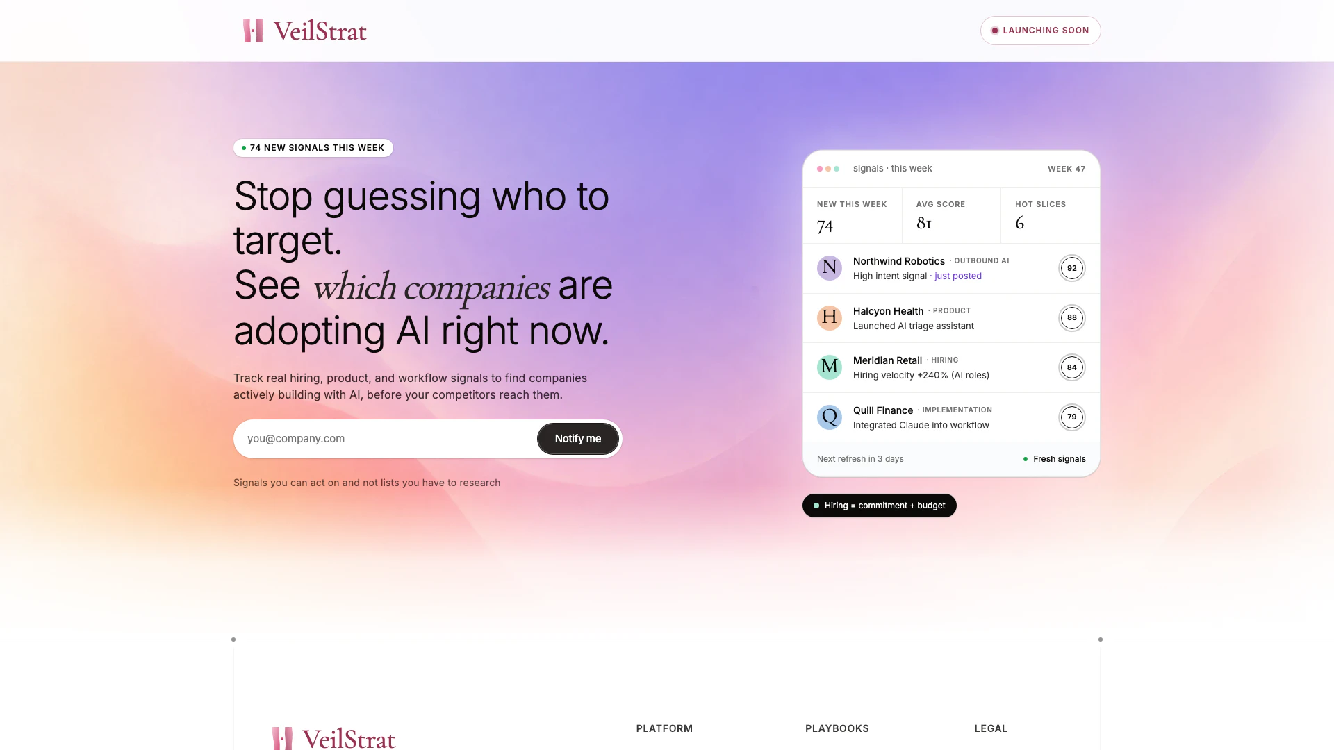 Veilstrat website screenshot showing Cessez de deviner qui cibler ; voyez que... interface and features