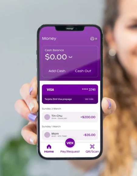 Vexwallet features demonstration