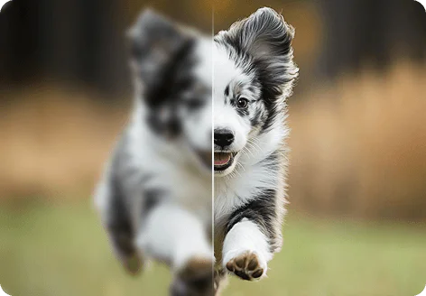 VidHex video restoration feature