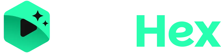 VidHex product interface overview