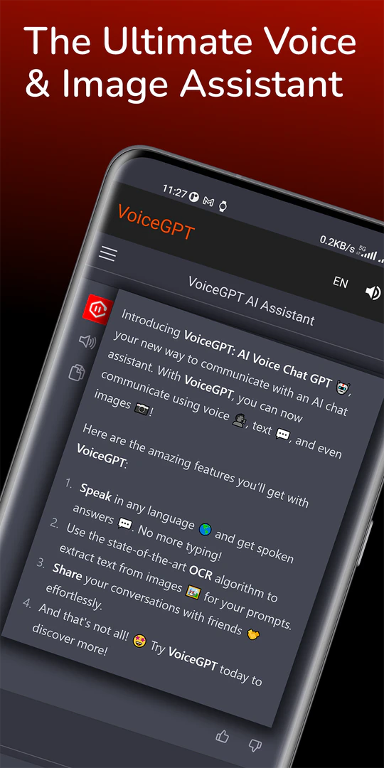 VoiceGPT product interface overview