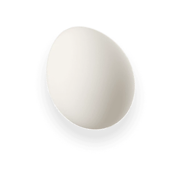 Wellbotapp features demonstration