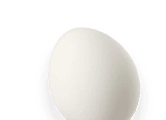 Wellbotapp interface showing health insights