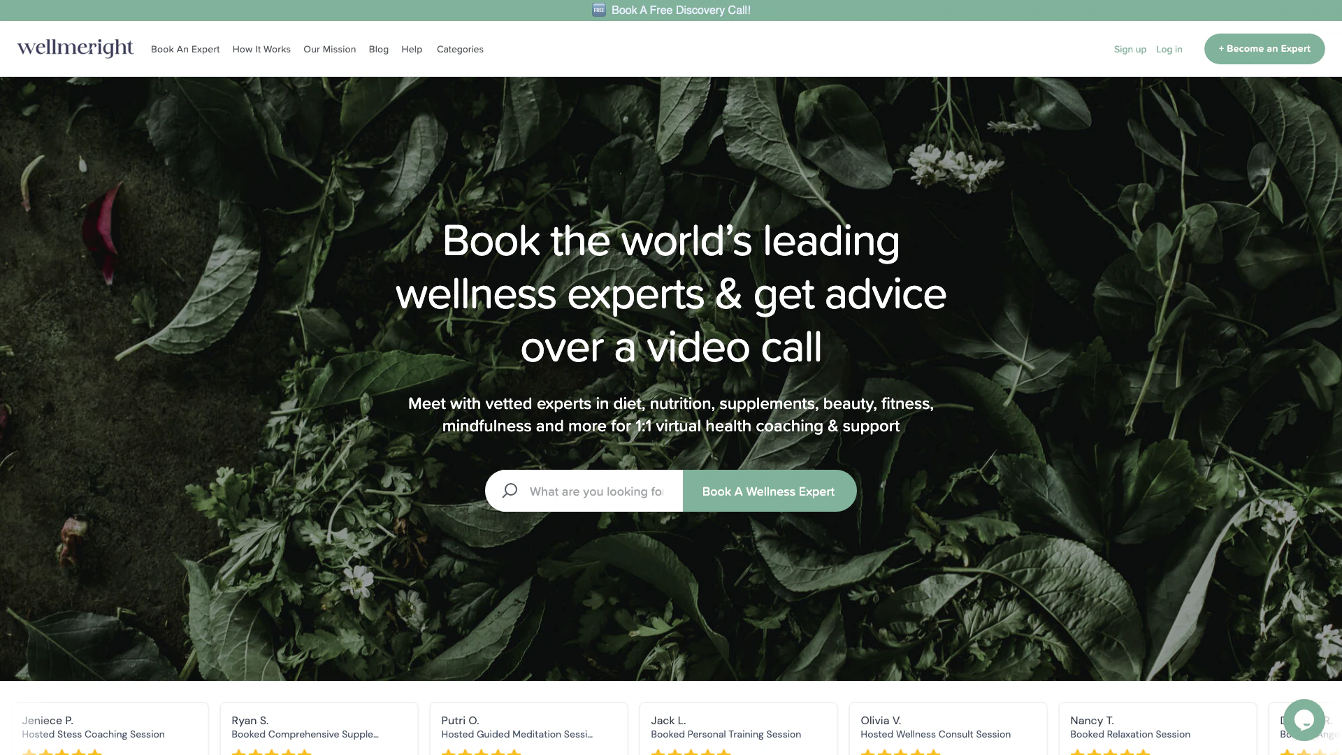 Wellmeright screenshot