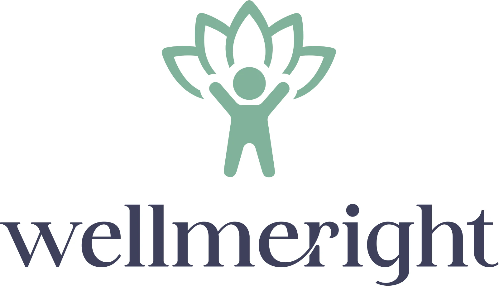 Wellmeright platform overview