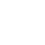 Wildertrips product overview