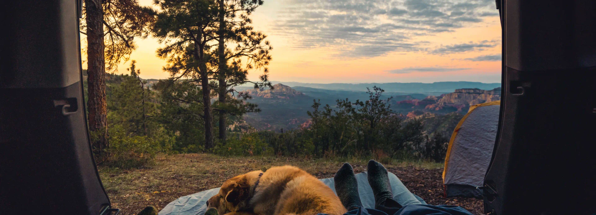 Wildertrips user scenario image