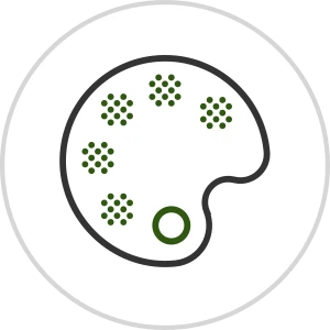 Wizlogo color variations feature demonstration