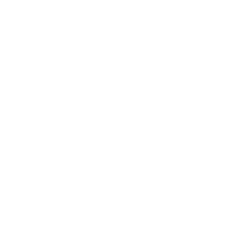 Wondering domain overview