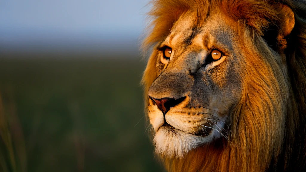 Yollyai text to image generation interface