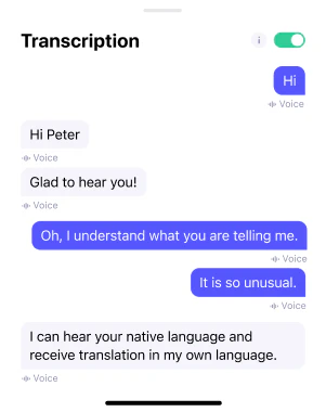 YOUS chat interface demonstrating message translation